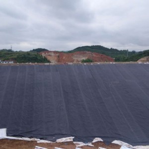 单糙面土工膜