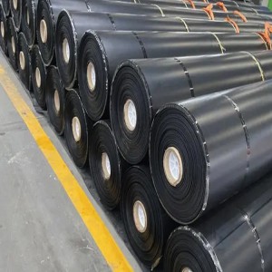 双糙面土工膜 供应双糙面土工膜