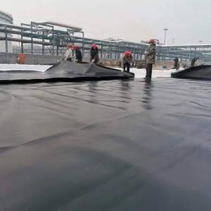 双糙面土工膜 厂家直销双糙面土工膜