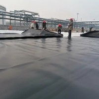 双糙面土工膜 厂家直销双糙面土工膜